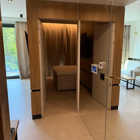 Apartament - Vidok 110 *